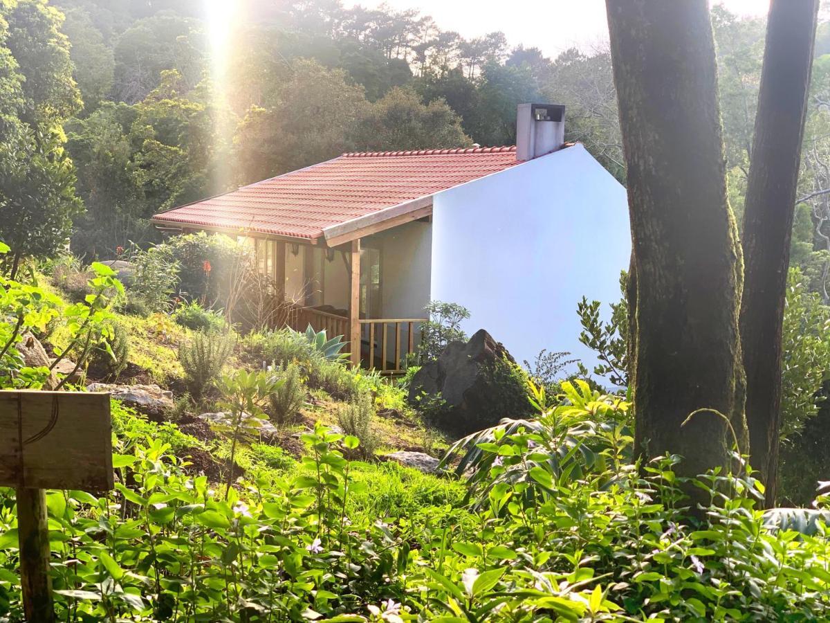 Eighteen21 Houses - Secluded Charm Cottage In Quinta Velha Sintra Exteriér fotografie