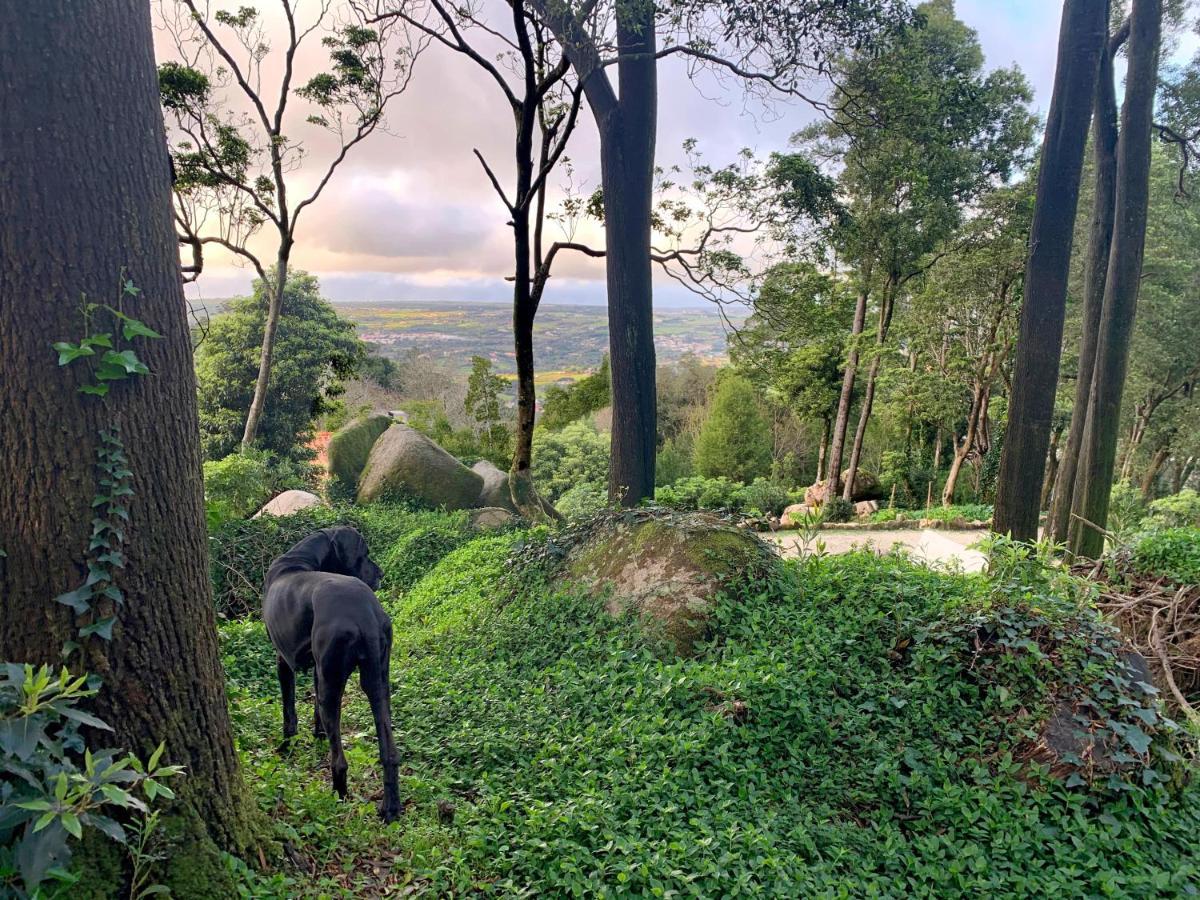 Eighteen21 Houses - Secluded Charm Cottage In Quinta Velha Sintra Exteriér fotografie
